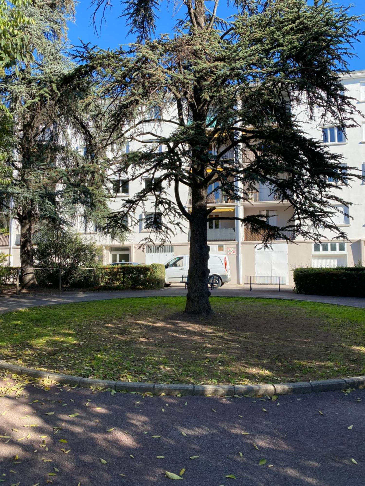 Appartement Rosaluz Montpellier Eksteriør bilde